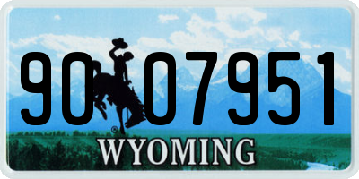 WY license plate 9007951