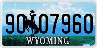 WY license plate 9007960