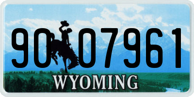 WY license plate 9007961
