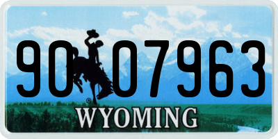 WY license plate 9007963
