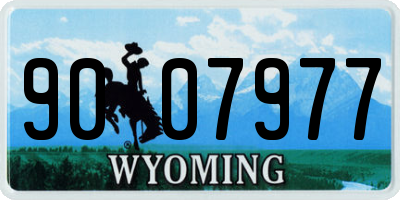 WY license plate 9007977