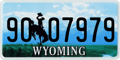 WY license plate 9007979