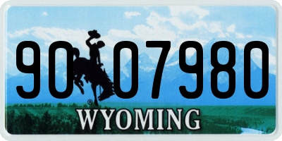 WY license plate 9007980