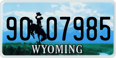 WY license plate 9007985