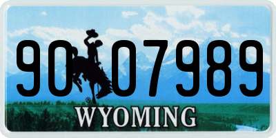 WY license plate 9007989