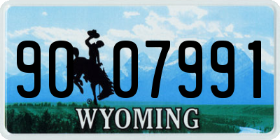 WY license plate 9007991