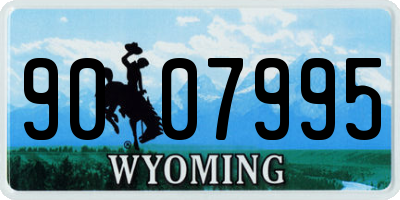 WY license plate 9007995