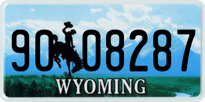 WY license plate 9008287