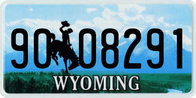 WY license plate 9008291