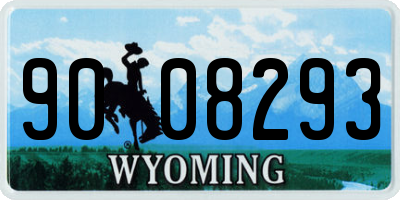 WY license plate 9008293