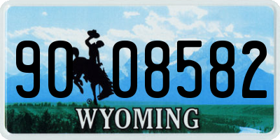 WY license plate 9008582