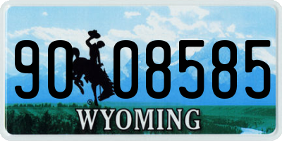 WY license plate 9008585
