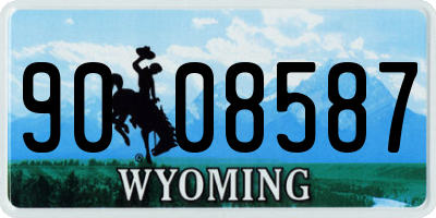WY license plate 9008587