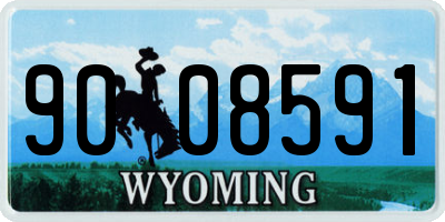WY license plate 9008591