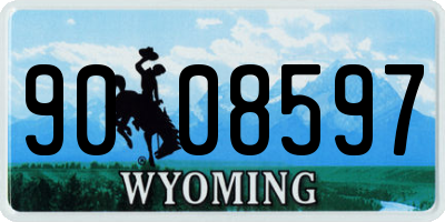 WY license plate 9008597