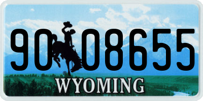 WY license plate 9008655