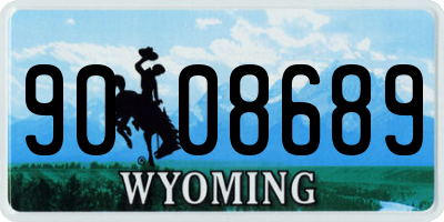 WY license plate 9008689
