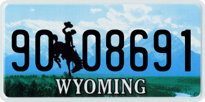 WY license plate 9008691