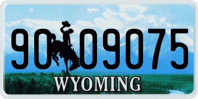 WY license plate 9009075