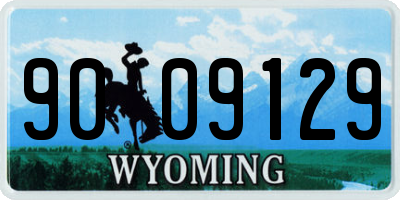 WY license plate 9009129