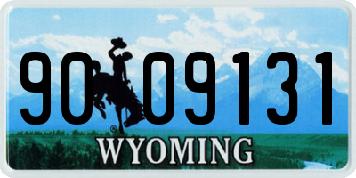 WY license plate 9009131