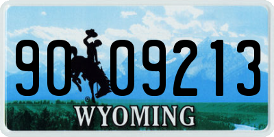 WY license plate 9009213