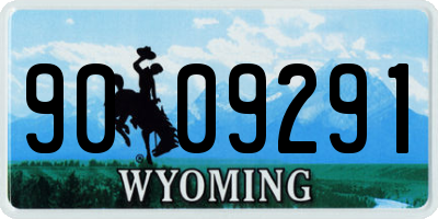 WY license plate 9009291
