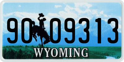 WY license plate 9009313
