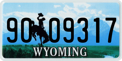 WY license plate 9009317