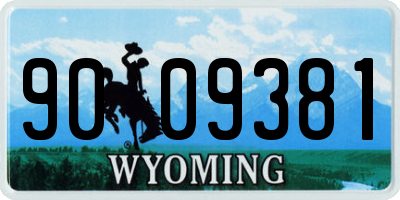 WY license plate 9009381