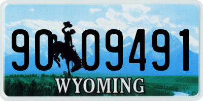 WY license plate 9009491