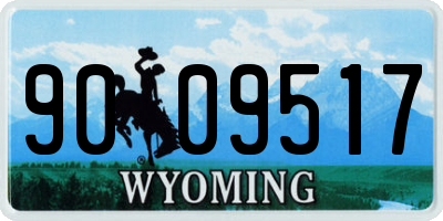WY license plate 9009517