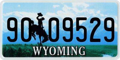 WY license plate 9009529