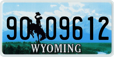 WY license plate 9009612