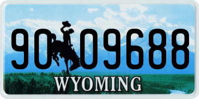 WY license plate 9009688