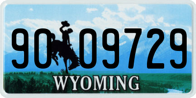 WY license plate 9009729