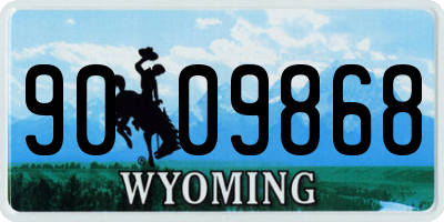 WY license plate 9009868