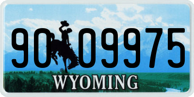 WY license plate 9009975