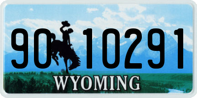 WY license plate 9010291
