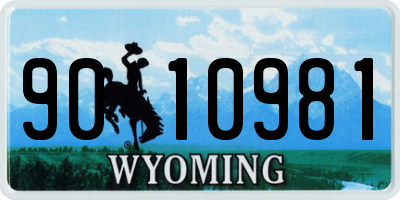WY license plate 9010981