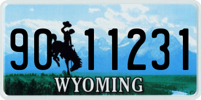 WY license plate 9011231