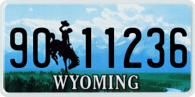 WY license plate 9011236
