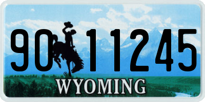 WY license plate 9011245