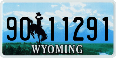 WY license plate 9011291