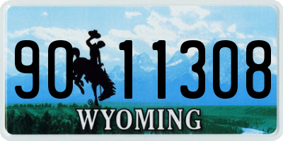 WY license plate 9011308