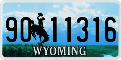 WY license plate 9011316