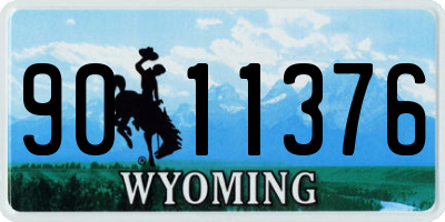 WY license plate 9011376