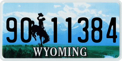 WY license plate 9011384