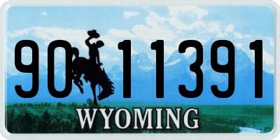 WY license plate 9011391
