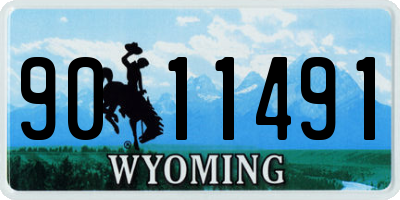 WY license plate 9011491